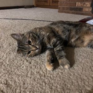 Meet your Posher, Greg